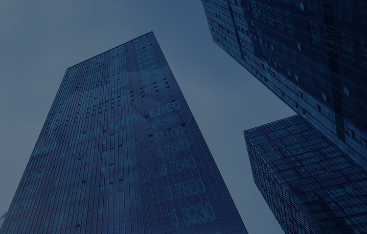 集團資金管理系統(tǒng)解決方案